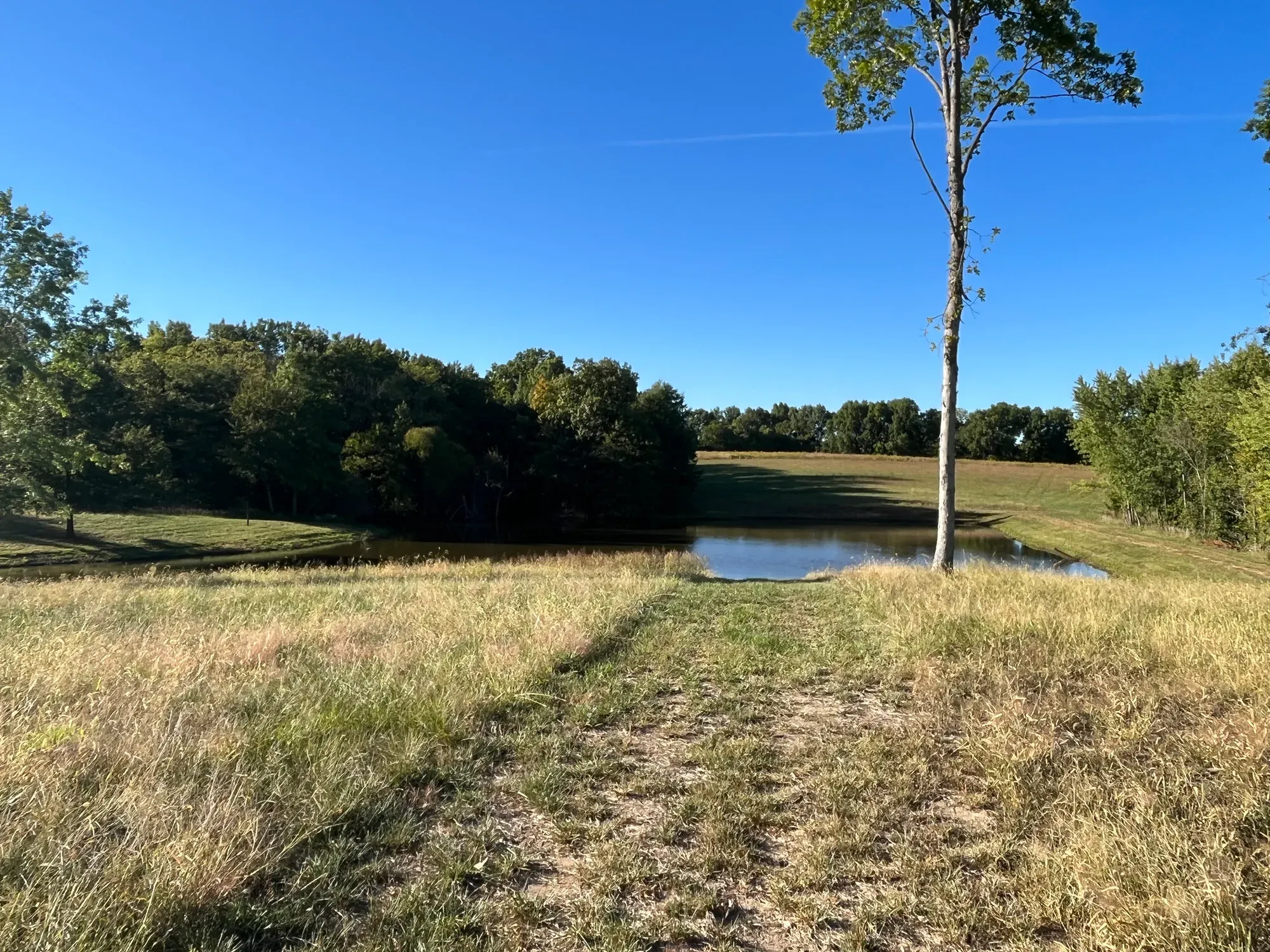 Mowed path through tall grass to the pond at the farmhouse near Bogard, Missouri