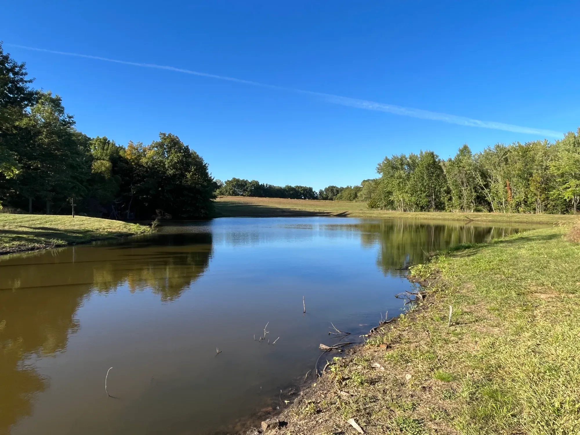 The private stocked pond at 270 Winchester Lane near Bogard, Missouri, under a blue sky